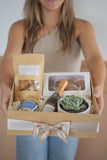 Brunch Box Pralina